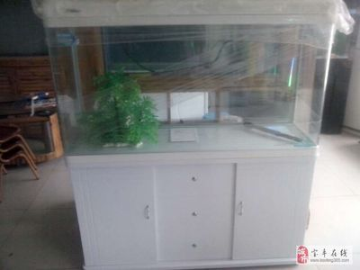 博山哪里買魚缸比較好的地方：博山幾個可以購買魚缸的地點