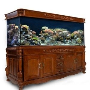 超白魚缸分類：超白魚缸的分類及保養