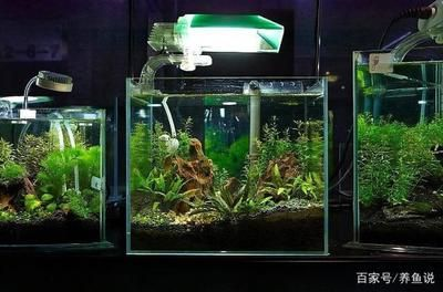 半圓弧魚缸是熱彎缸嗎視頻：半圓弧魚缸是否為熱彎缸取決于其具體的制作工藝