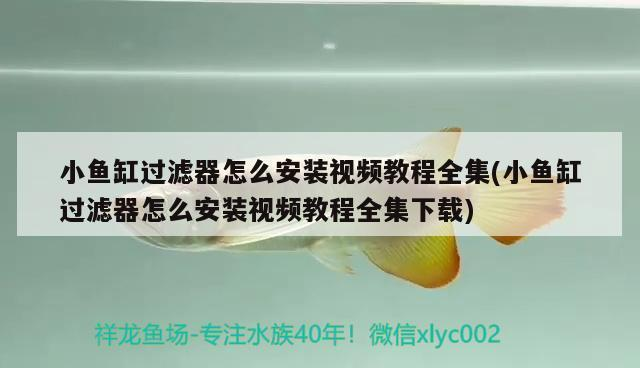 齊齊哈爾市龍吟閣水族制品有限公司（齊齊哈爾市龍吟閣水族制品有限公司電話） 齊齊哈爾市龍吟閣水族制品有限公司（齊齊哈爾市龍吟閣水族制品有限公司電話） 全國(guó)水族館企業(yè)名錄 第2張
