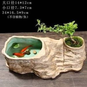 除了玻璃魚缸還有什么魚缸好養：亞克力魚缸是一種常見的現代魚缸材料，耐酸堿性能優良
