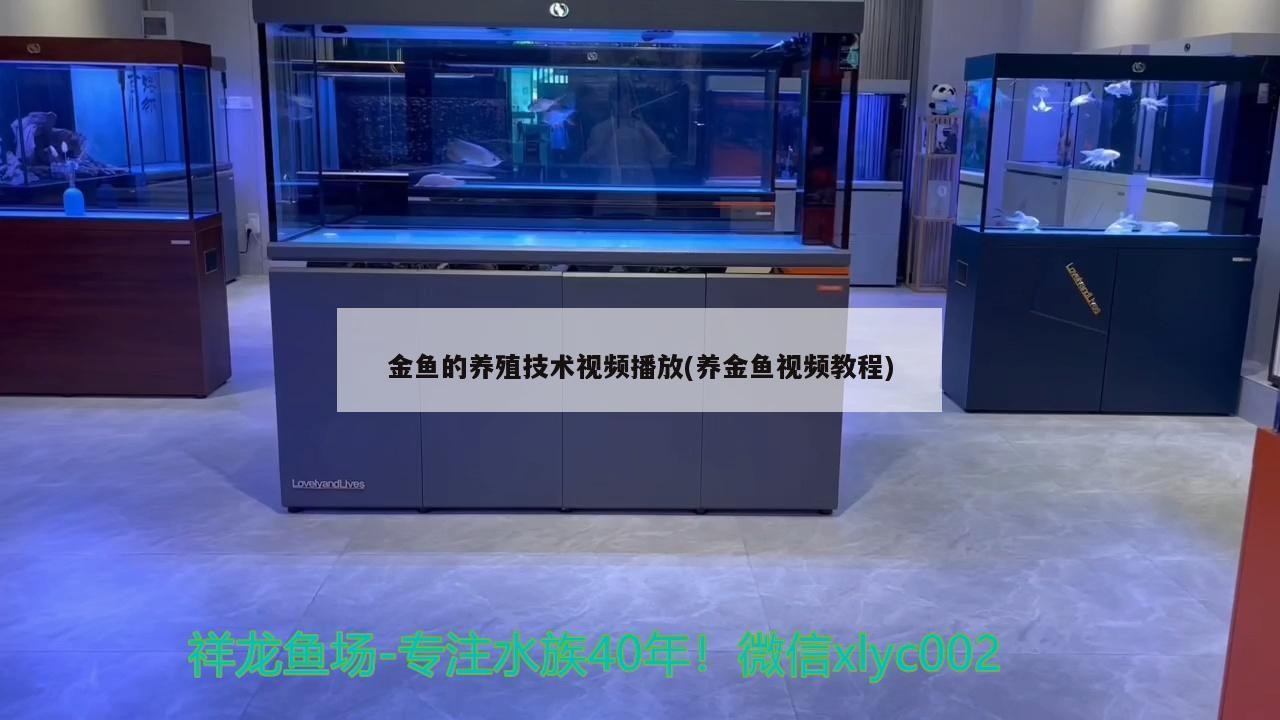 魚缸過濾器選購指南:自制魚缸過濾器魚缸上置過濾器對于養魚愛好者的必備知識 金魚的養殖技術視頻播放(養金魚視頻教程) 魟魚百科 金魚的養殖技術視頻播放(養金魚視頻教程) 金魚的養殖技術視頻播放(養金魚視頻教程) 魟魚百科