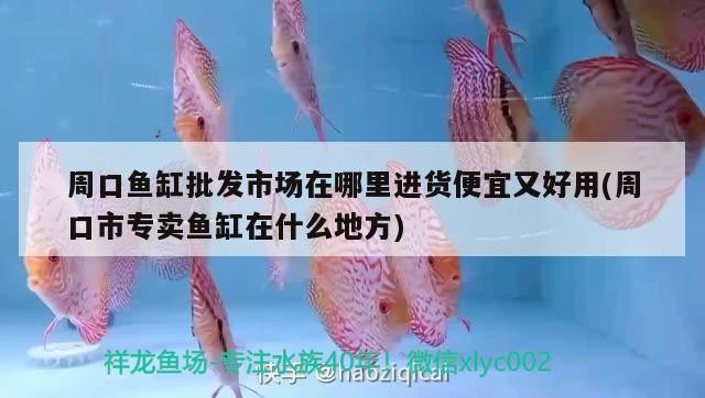 周口魚缸批發市場在哪里進貨便宜又好用(周口市專賣魚缸在什么地方)
