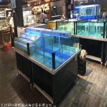 超市魚缸的魚該怎么養活呢：在超市養魚需要注意哪些問題？