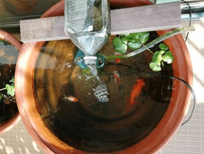 瓷器魚缸擺放位置：瓷器魚缸擺放的風(fēng)水學(xué)