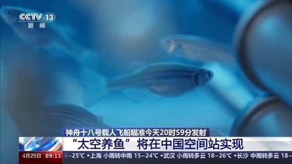 冬季魚缸溫度：冬季魚缸水溫的控制方法