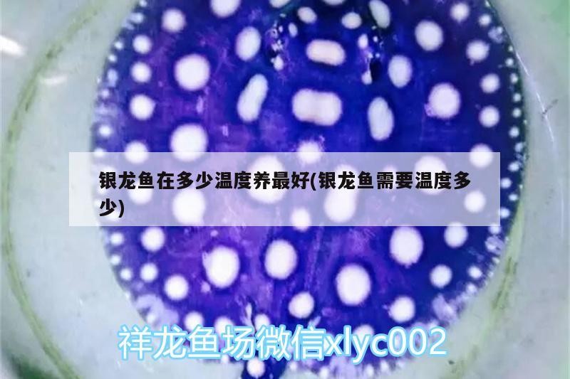 銀龍魚在多少溫度養最好(銀龍魚需要溫度多少)