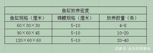 60x30魚缸一般放幾條魚：60x30魚缸適合養幾條熱帶魚