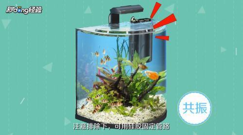 魚缸流水聲音大怎么辦 魚缸流水聲音大怎么辦 龍魚百科 第3張