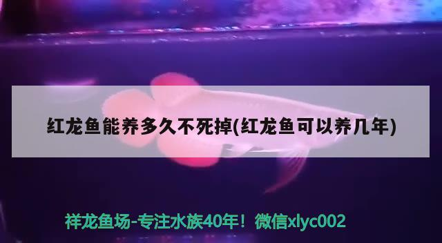 博特變頻水泵控制器怎么調：博特水泵一代二代區別 博特變頻水泵控制器怎么調：博特水泵一代二代區別 博特水族 第2張