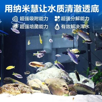 大魚缸不換水怎么日常維護呢：大魚缸不換水的日常維護方法
