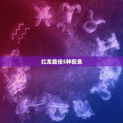 紅龍魚最佳5種配魚：紅龍魚最佳5種配魚的詳細信息