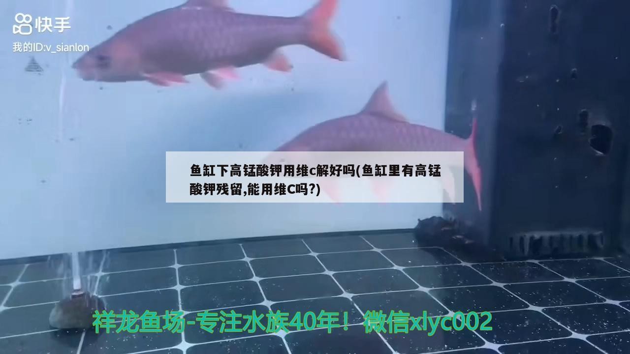 魚缸下高錳酸鉀用維c解好嗎(魚缸里有高錳酸鉀殘留,能用維C嗎?)