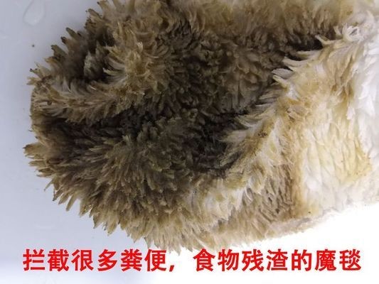 福鼎市秦嶼洪盛水族館（福鼎市秦嶼洪盛水族館電話） 福鼎市秦嶼洪盛水族館（福鼎市秦嶼洪盛水族館電話） 全國水族館企業名錄 第2張