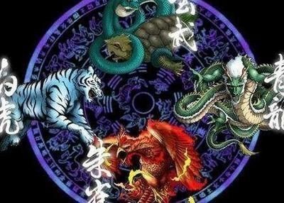 龍魚最忌三種配魚 龍魚最忌三種配魚 龍魚百科 第5張
