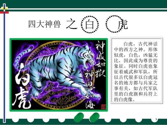 龍魚最忌三種配魚 龍魚最忌三種配魚 龍魚百科 第3張