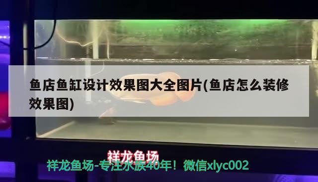 魚店魚缸設計效果圖大全圖片(魚店怎么裝修效果圖)