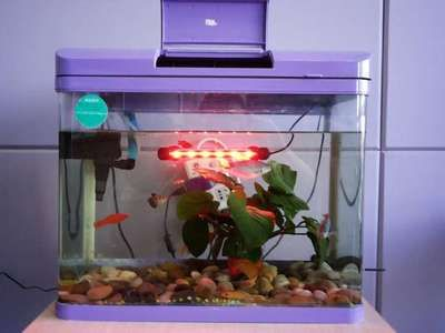 大魚缸安裝流程視頻：大型魚缸安裝教學