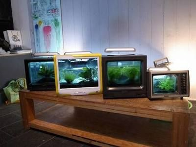 玻璃魚缸拆怎樣才能讓膠好拆：如何使用美工刀拆卸玻璃魚缸？