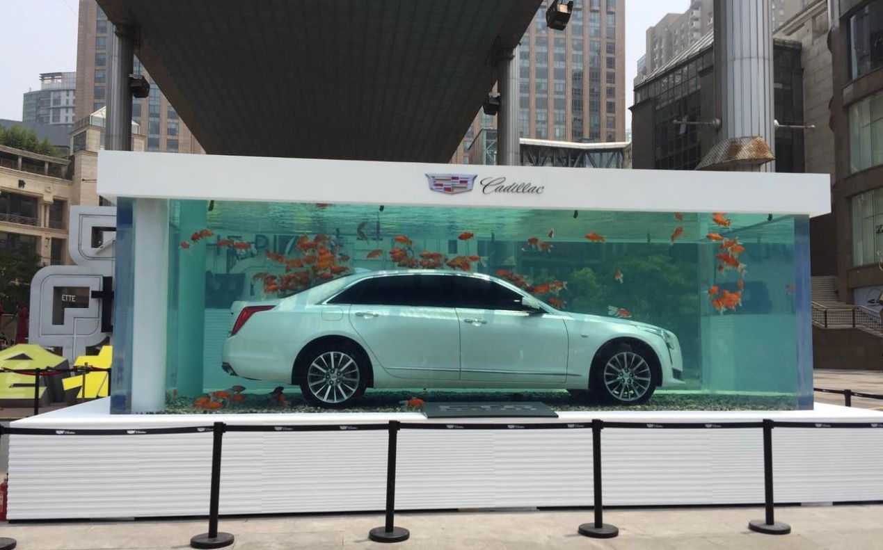 車沉魚缸什么意思：凱迪拉克追高鐵事件凱迪拉克追高鐵事件引發關注和討論