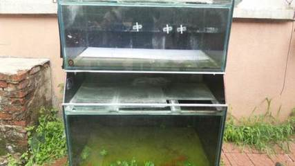 舊魚缸不想要了怎么處理