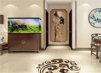 石家莊清理魚缸的地方有哪些