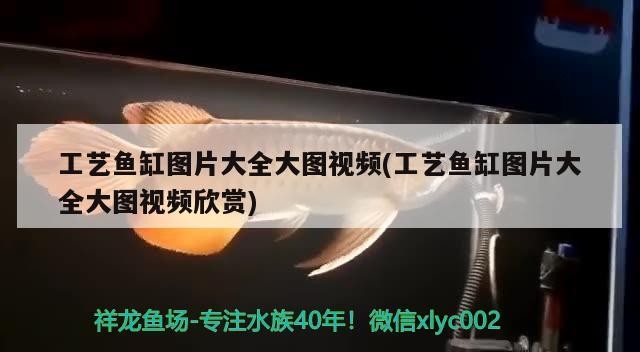 工藝魚缸圖片大全大圖視頻(工藝魚缸圖片大全大圖視頻欣賞)