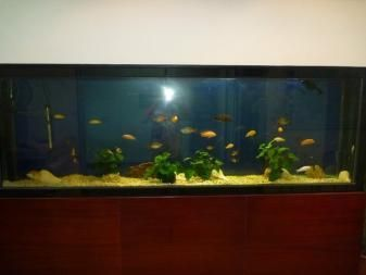 大興賣魚缸的地方在哪里：北京大興通州名亨魚缸定做 大興賣魚缸的地方在哪里：北京大興通州名亨魚缸定做 魚缸百科 第1張