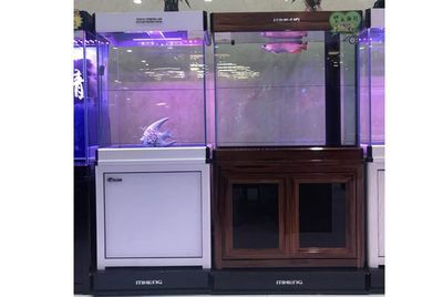 大興賣魚缸的地方在哪里：北京大興通州名亨魚缸定做 大興賣魚缸的地方在哪里：北京大興通州名亨魚缸定做 魚缸百科 第3張