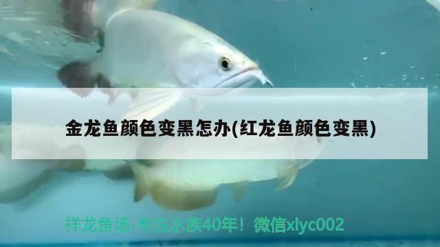 魚缸里放海沙有什么用，魚缸里放沙子對魚缸有好處嗎，魚缸里放沙子有什么用