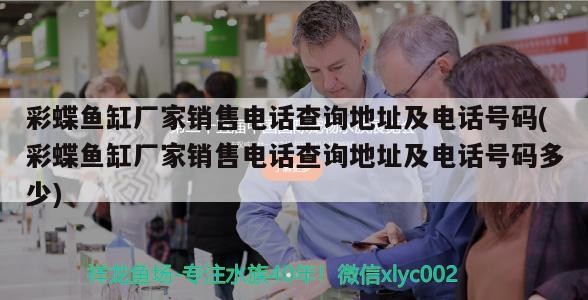 彩蝶魚缸廠家銷售電話查詢地址及電話號碼(彩蝶魚缸廠家銷售電話查詢地址及電話號碼多少)