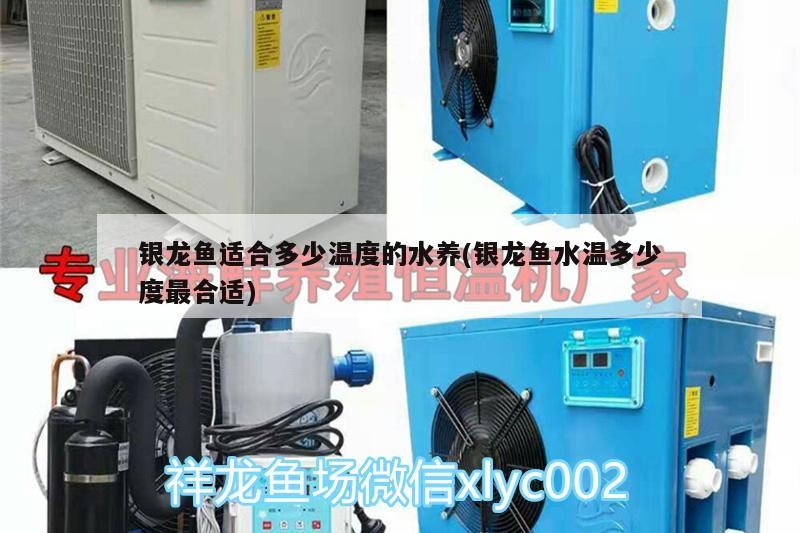 銀龍魚適合多少溫度的水養(yǎng)(銀龍魚水溫多少度最合適)