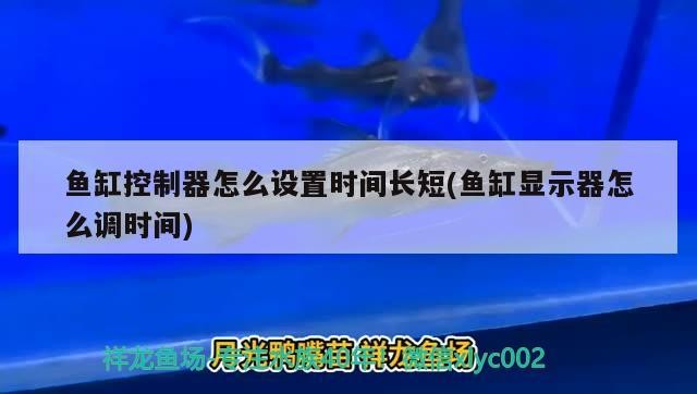 魚缸控制器怎么設(shè)置時間長短(魚缸顯示器怎么調(diào)時間)