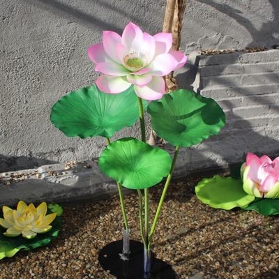 大魚缸照片：如何打造一個個性化的魚缸景觀 大魚缸照片：如何打造一個個性化的魚缸景觀 魚缸百科 第2張