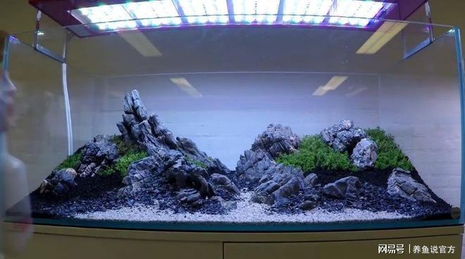 龍魚掃碼器祥龍魚場（龍魚掃碼器怎么用）