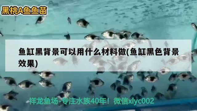 魚缸黑背景可以用什么材料做(魚缸黑色背景效果)