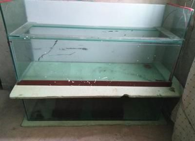 玻璃店粘個魚缸多少錢：玻璃店粘魚缸價格