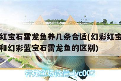 家用魚缸怎么安裝氧氣（家用魚缸怎么安裝氧氣泵）