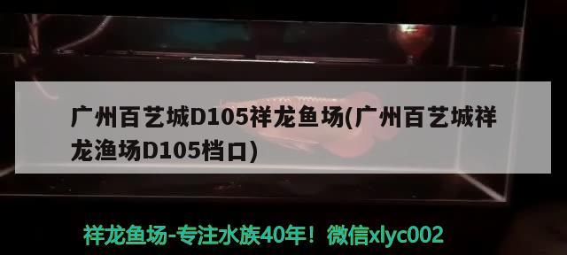 魚缸用增氧泵價格是多少:魚缸增氧機-xtrac增氧機-xtrac增氧機 廣州百藝城D105祥龍魚場(廣州百藝城祥龍漁場D105檔口) vs祥龍魚場 廣州百藝城D105祥龍魚場(廣州百藝城祥龍漁場D105檔口) 廣州百藝城D105祥龍魚場(廣州百藝城祥龍漁場D105檔口) vs祥龍魚場