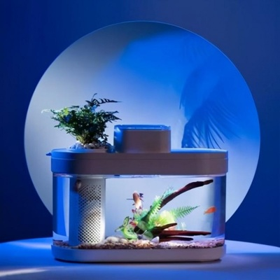 北京市朝陽區孫河鄉李文龍水族店（北京市朝陽區孫河鄉李文龍水族店電話）