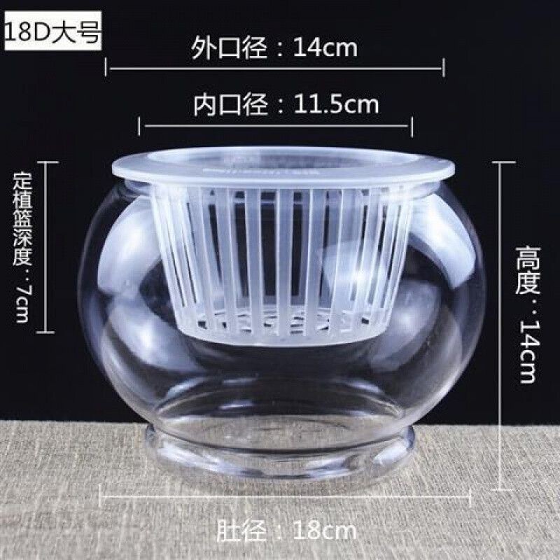 多大的魚(yú)缸算大魚(yú)缸呢
