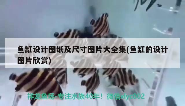 魚缸設計圖紙及尺寸圖片大全集(魚缸的設計圖片欣賞)