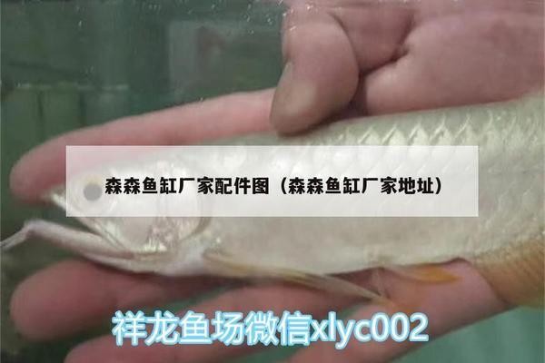 元寶山區水族王國觀賞魚店（元寶山區水族王國觀賞魚店電話）