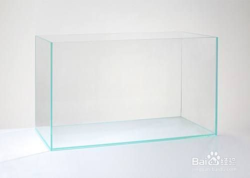 魚缸養魚要怎么養，魚缸布置技巧有哪些魚缸水質檢測方法介紹金魚養殖需要注意什么