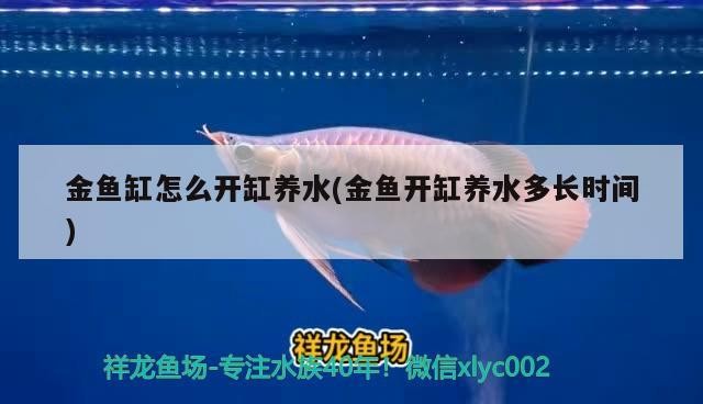龍魚 金魚缸怎么開缸養(yǎng)水(金魚開缸養(yǎng)水多長時間) 魟魚百科 金魚缸怎么開缸養(yǎng)水(金魚開缸養(yǎng)水多長時間) 金魚缸怎么開缸養(yǎng)水(金魚開缸養(yǎng)水多長時間) 魟魚百科