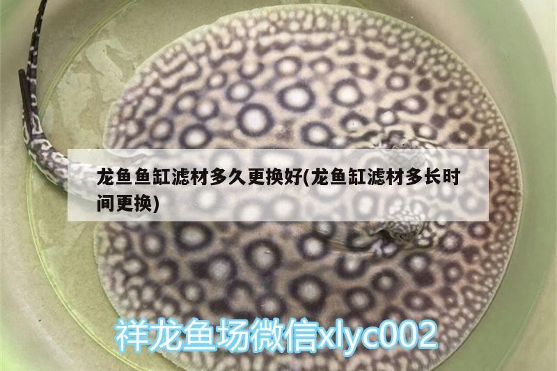 東湖區曉鄧觀賞魚店 東湖區曉鄧觀賞魚店 全國水族館企業名錄 第1張