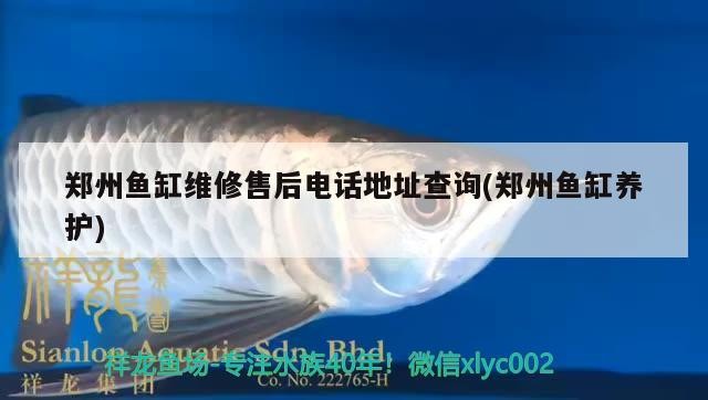鄭州魚缸維修售后電話地址查詢(鄭州魚缸養(yǎng)護)