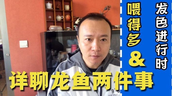 小紅龍怎么發(fā)色 小紅龍怎么發(fā)色 龍魚百科 第3張