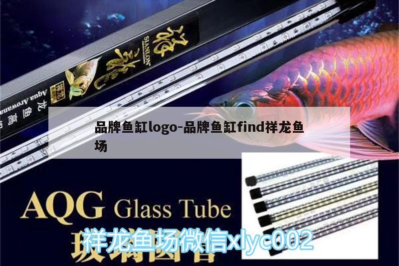 品牌魚缸logo:品牌魚缸find祥龍魚場