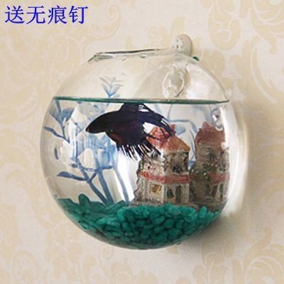斗魚缸適合放什么裝飾好看:如何打造個性化斗魚缸 魚缸百科 第3張 斗魚缸適合放什么裝飾好看:如何打造個性化斗魚缸 斗魚缸適合放什么裝飾好看:如何打造個性化斗魚缸 魚缸百科 第3張